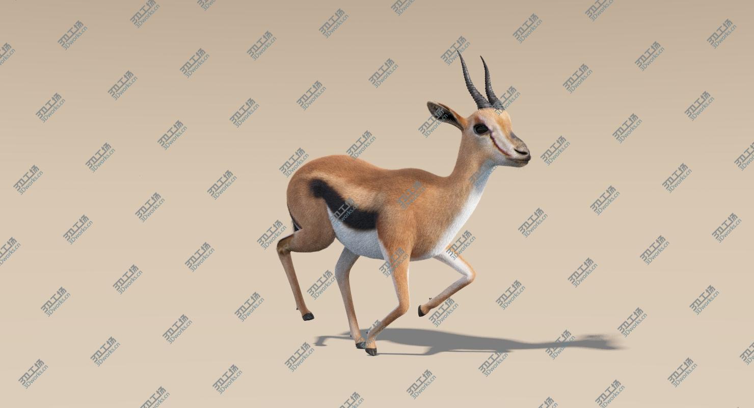 images/goods_img/202105071/3D Gazelle (Fur) Animated model/4.jpg